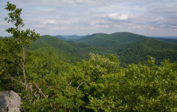 Crystal Vista and Outdoor Rockhounding 2